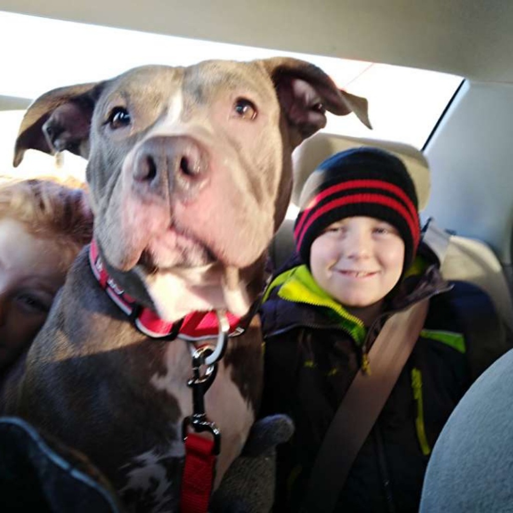 Meet your Posher, Maddux